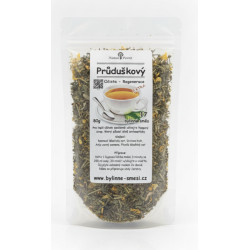 č. 17 Průduškový, očista a regenerace