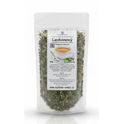 č. 6 Ledvinový, posílení a podpora