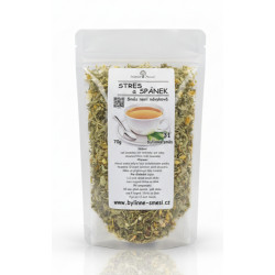 č. 31 Stres a spánek