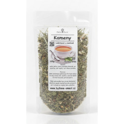 č. 33 Ledvinové a močové kameny