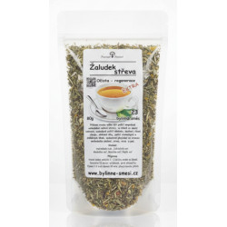 č. 23 Žaludek a střeva, očista a regenerace